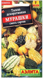 Тыква декоративная Мурашки, смесь