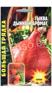 Тыква Дынный аромат