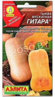Тыква Гитара