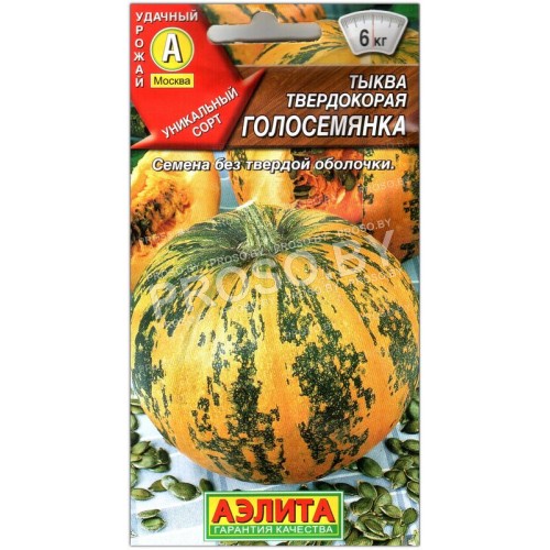 Тыква Голосемянка