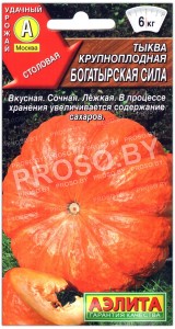 Тыква крупноплодная Богатырская сила