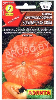 Тыква крупноплодная Богатырская сила
