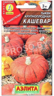 Тыква крупноплодная Кашевар