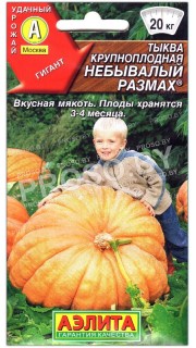 Тыква крупноплодная Небывалый размах