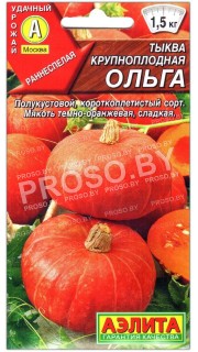 Тыква крупноплодная Ольга