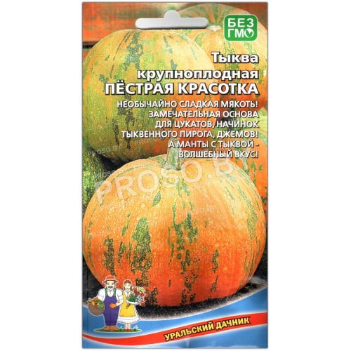 Тыква крупноплодная Пестрая красотка