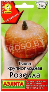 Тыква крупноплодная Розелла