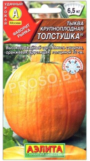 Тыква крупноплодная Толстушка