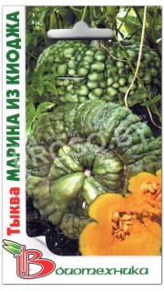 Тыква Марина из Киоджа