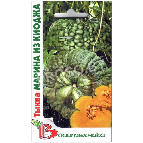 Тыква Марина из Киоджа