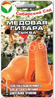 Тыква Медовая гитара