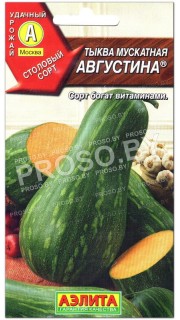 Тыква мускатная Августина
