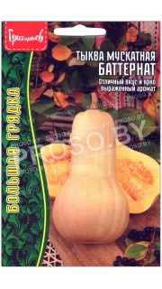 Тыква мускатная Баттернат