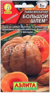 Тыква мускатная Большой шлем