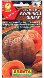 Тыква мускатная Большой шлем