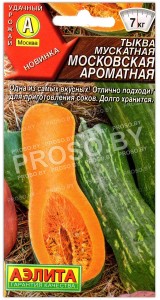 Тыква мускатная Московская ароматная