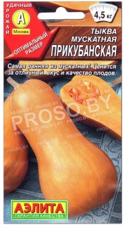 Тыква мускатная Прикубанская