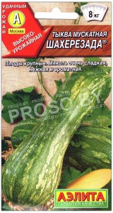 Тыква мускатная Шахерезада