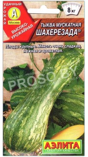 Тыква мускатная Шахерезада