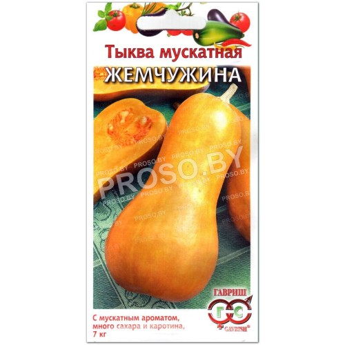 Тыква мускатная Жемчужина-1