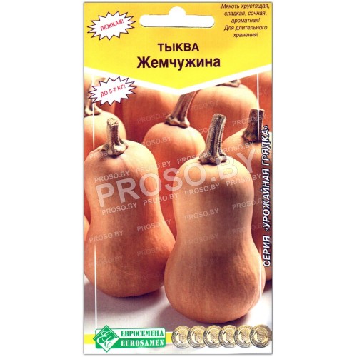 Тыква мускатная Жемчужина-2