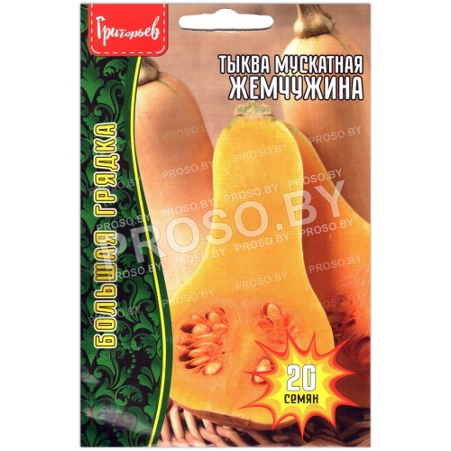 Тыква мускатная Жемчужина-3