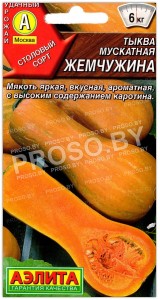 Тыква мускатная Жемчужина