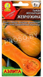 Тыква мускатная Жемчужина