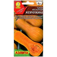 Тыква мускатная Жемчужина