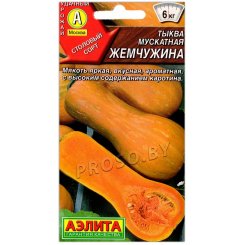 Тыква мускатная Жемчужина