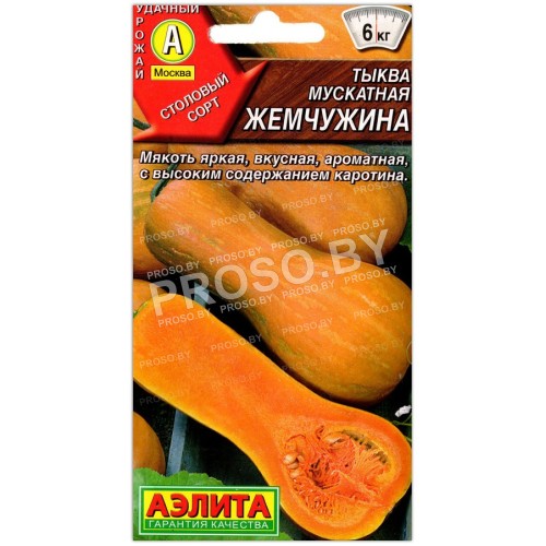 Тыква мускатная Жемчужина