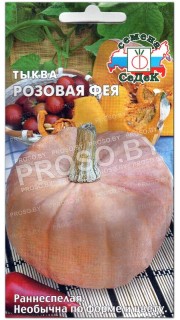 Тыква Розовая фея