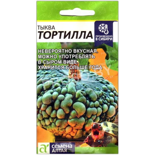 Тыква Тортилла