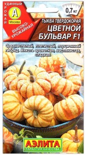 Тыква твердокорая Цветной бульвар F1