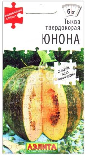 Тыква твердокорая Юнона