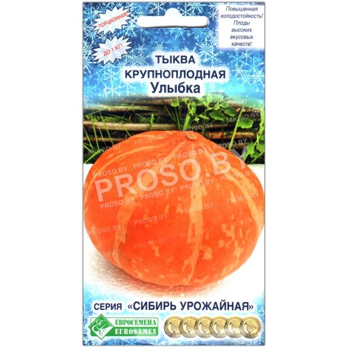 Тыква Улыбка-2