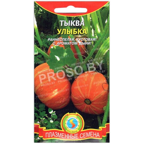 Тыква Улыбка-3
