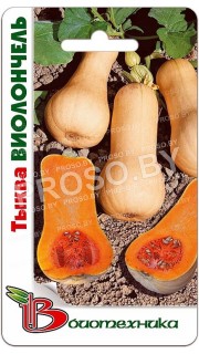 Тыква Виолончель