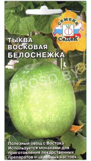 Тыква восковая Белоснежка