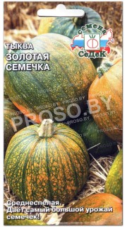 Тыква Золотая семечка