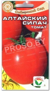 Томат Алтайский силач