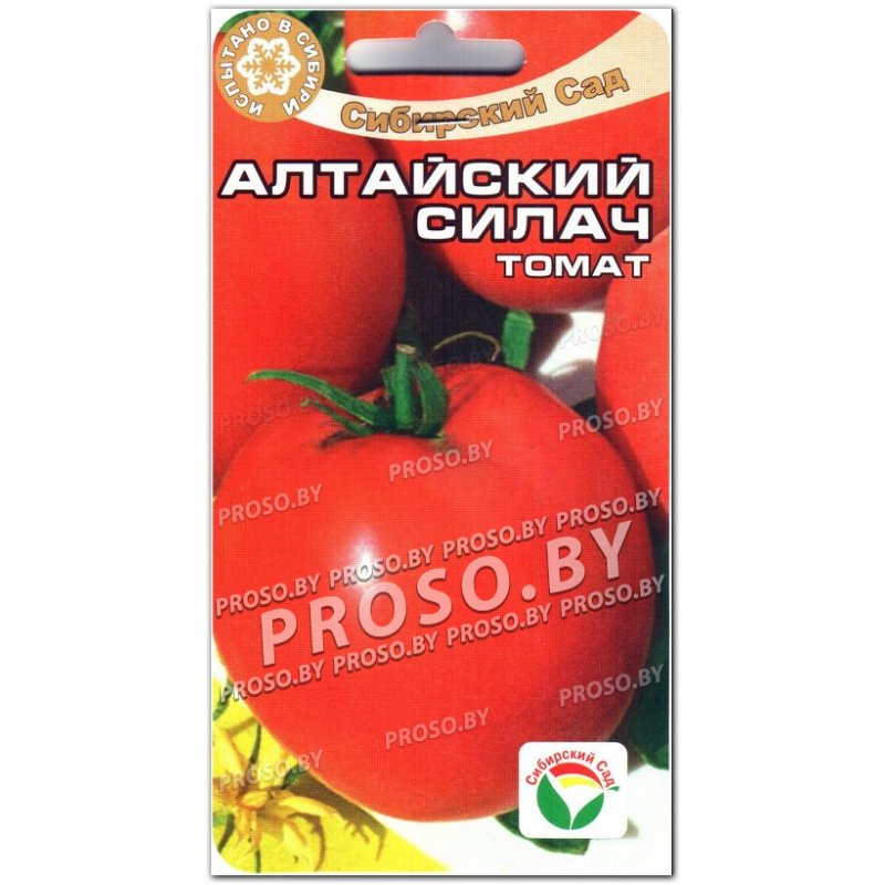 Урожайность томата алтайский сахарный