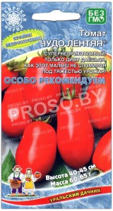 Томат Чудо лентяя