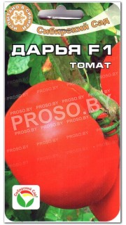 Томат Дарья F1