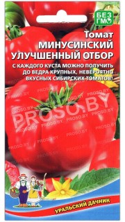 Томат Минусинский улучшенный отбор