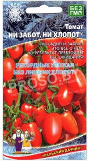 Томат Ни забот, ни хлопот