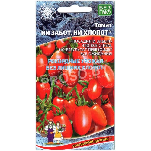Томат Ни забот, ни хлопот