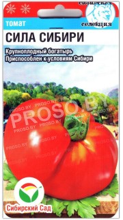 Томат Сила Сибири
