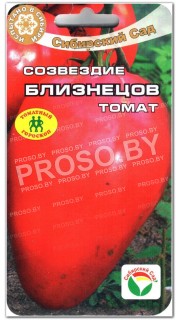 Томат Созвездие Близнецов