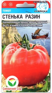 Томат Стенька Разин